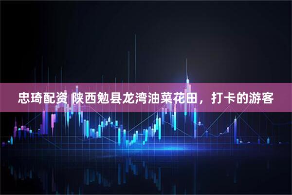 忠琦配资 陕西勉县龙湾油菜花田，打卡的游客